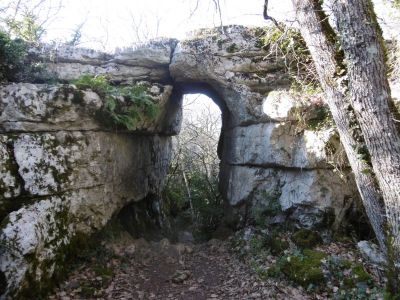 Bois de Païolive Sud Ardèche